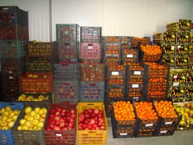 Oferta, National, Depozite fructe germania1800 neto