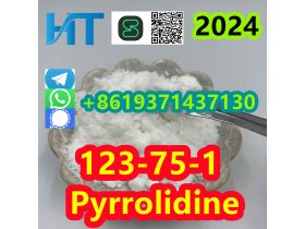 Oferta, Arges, High purity CAS 123-75-1 Pyrrolidine
