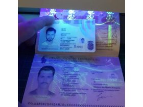 Oferta, National, Real Novelty Passports, Drivers Licenses, ID cards