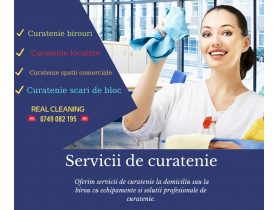 Oferta, Bucuresti, Ai nevoie de curatenie? realcleaning.ro