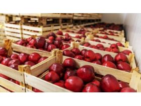Oferta, National, Agricultura aus 2000e net 2400