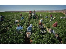 Oferta, National, Agricultura aus personal 2400e net