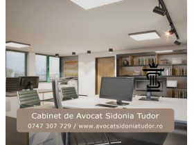 Oferta, Bucuresti, Avocat Sidonia Tudor