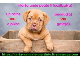 Oferta, National, Animale pierdute si animale gasite - harta nationala cu localizarea acestora