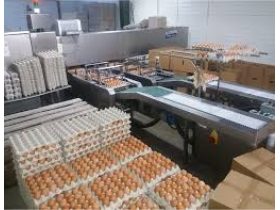 Oferta, National, Depozit oua germ personal 2400