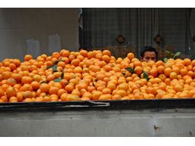 Oferta, National, Agricultura aus 2000e net depozite2400e