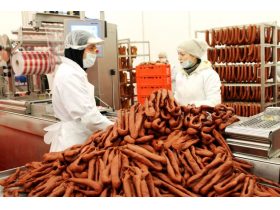 Oferta, Brasov, Depozite ciuperci germ2400e net