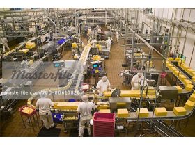 Oferta, Brasov, Fabrica lactate germ2400e net angajare