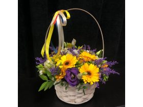 Oferta, Bucuresti, Plante de primăvară care iți transformă casa