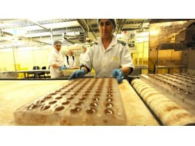 Oferta, Brasov, Fabrica lactate germanias2400e net