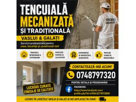 Oferta, Vaslui, Tencuiala traditionala si mecanizata