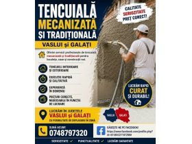 Oferta, Bacau, Tencuiala traditionala