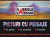 Picturi originale cu peisaje