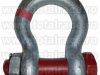 Gambeti ridicat sarcini G2130 Crosby