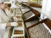 Fabrica ciocolata 1600e angajare germania
