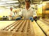 Angajare fabrici biscuiti 1600e germania1800e net