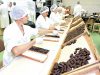 Domeniul hotelier germania2400 angajare/////