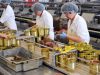 Fabrica conserve germania 2400
