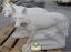 Oferta, National, Statueta animal lup, alb marmorat, model S78
