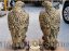 Oferta, National, Statuete vulturi, acvile, galben patinat, model S82