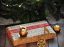 Oferta, National, Fabrica decoratiuni germania