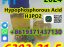 Oferta, Arges, CAS 6303-21-5 Hypophosphorous Acid H3PO2