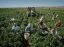 Oferta, National, Agricultura aus personal 2400e net
