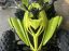 Oferta, National, YAMAHA RAPTOR 700R SE